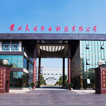 玻璃装饰 